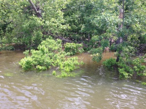A look at the flooded shoreline of Grand Lake.